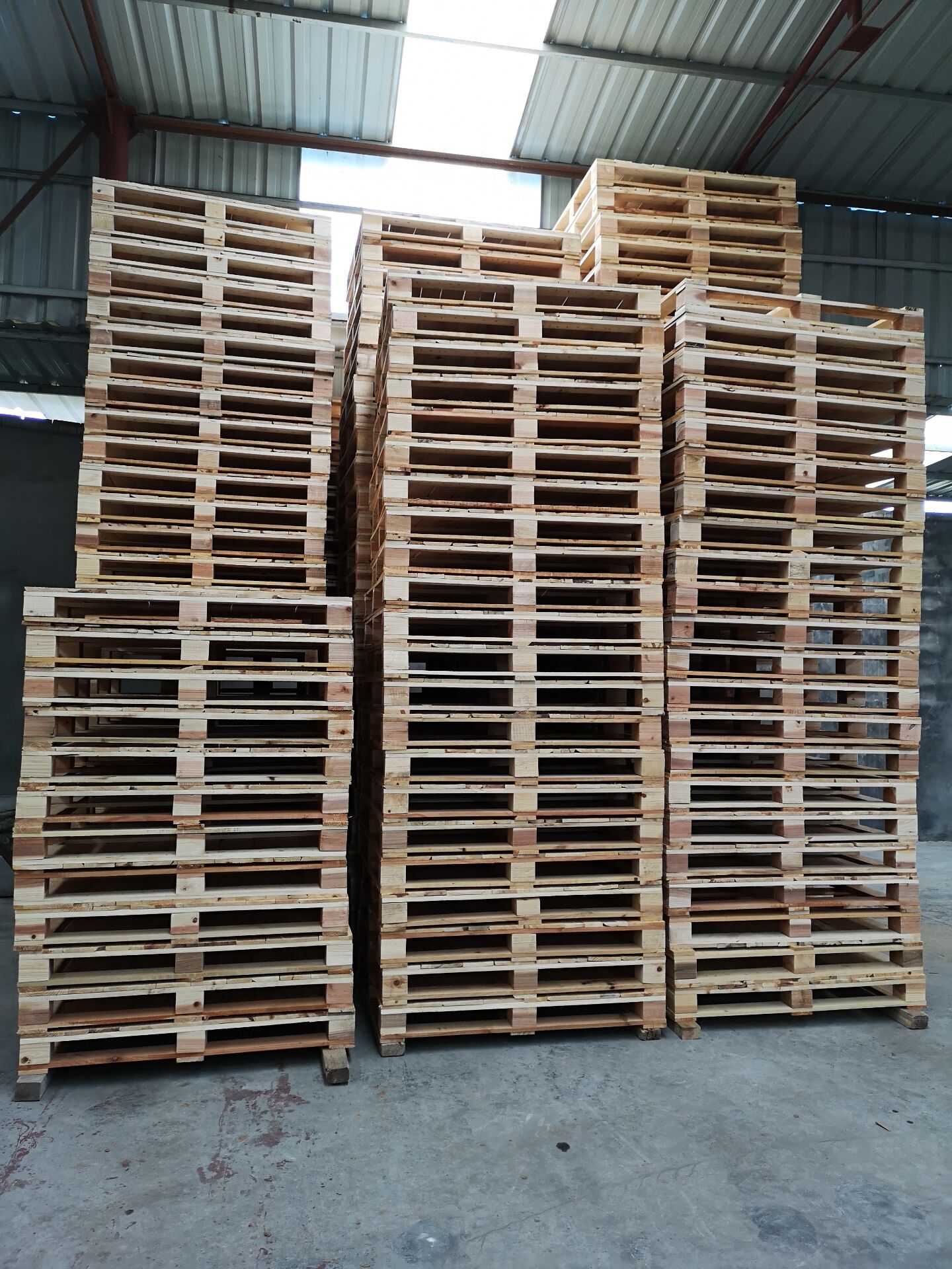 �����M(j��n)���бP(p��n)006